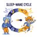 Sleep-Wake Cycle